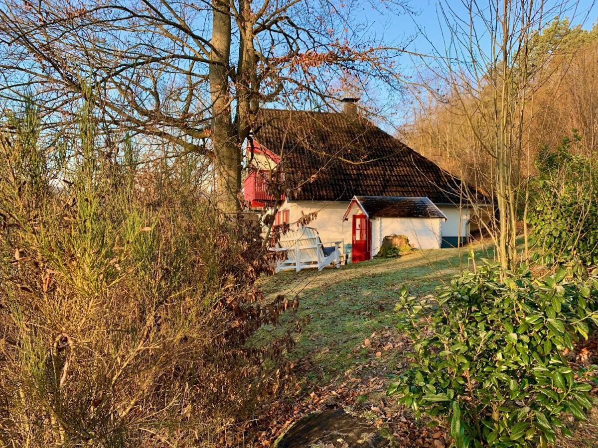 Idylle Seepark - Haus Mit Pool Und Fasssauna キルヒハイム エクステリア 写真